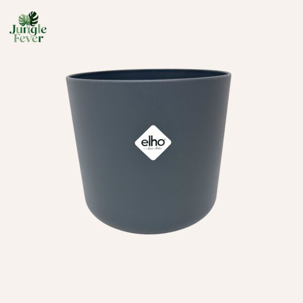 B4S ANTHRA WS-Photoroom B4S ANTHRA WS-Photoroom