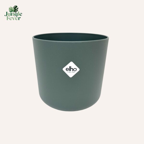 B4S GREEN WS-Photoroom B4S GREEN WS-Photoroom