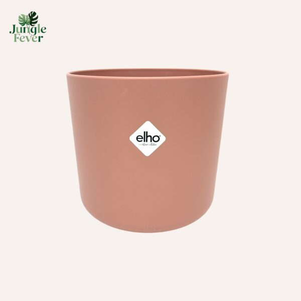 B4S PINK WS-Photoroom B4S PINK WS-Photoroom