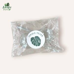 GLOBES SC WS1-Photoroom (1)