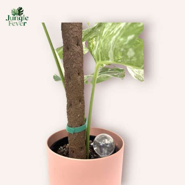 KRAT POLE TAPE GLOBE IN USE WS-Photoroom KRAT POLE TAPE GLOBE IN USE WS-Photoroom