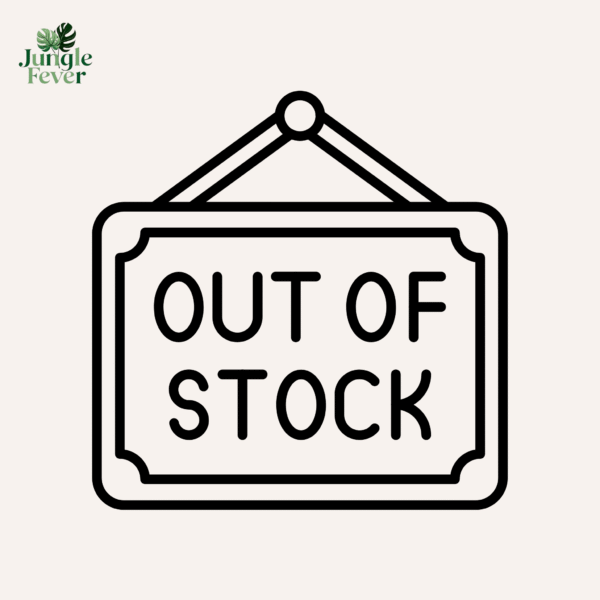 out of stock out of stock